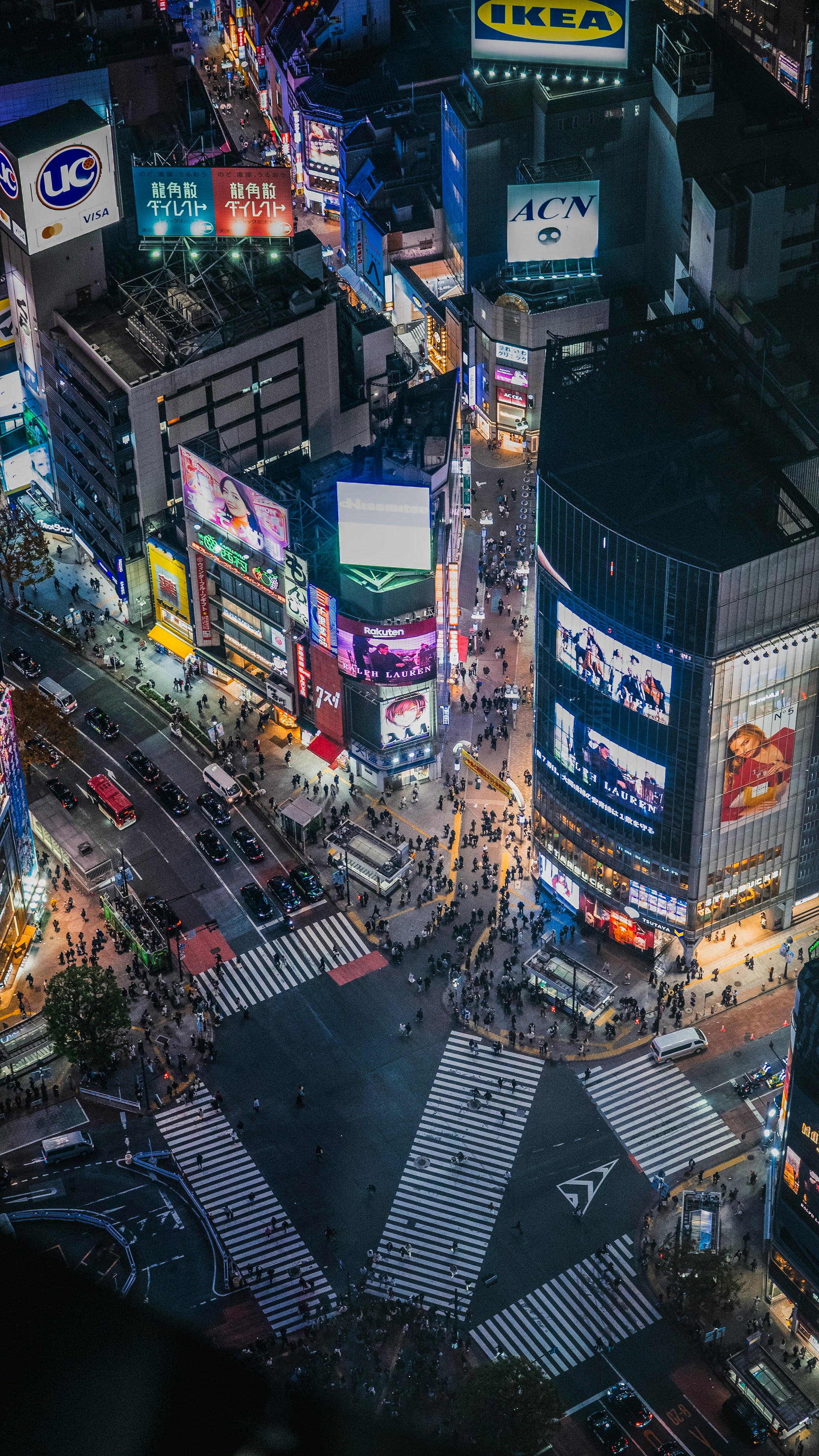 Tokyo best time to visit